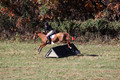 Theresa Thompson on Rated PG, Novice Horse Trials Senior
