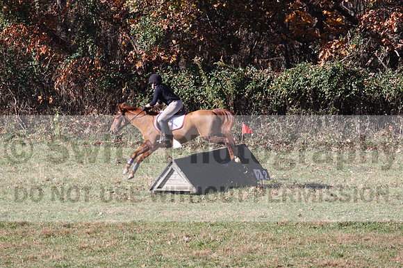 Theresa Thompson on Rated PG, Novice Horse Trials Senior
