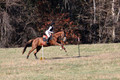 Ingrid Dunn on Ruby Redbird, Beginner Novice Horse Trials Senior C