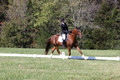 Emily Kagey on Flicka, Beginner Novice Horse Trials Junior A