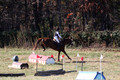 Ingrid Dunn on Ruby Redbird, Beginner Novice Horse Trials Senior C