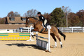 Emily Beshear on My Combination, Novice Horse Trials Senior