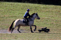 Brynn Katany on Cady O'Daly Artisan, Beginner Novice Horse Trials Junior A