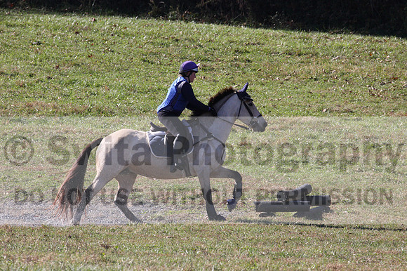 Brynn Katany on Cady O'Daly Artisan, Beginner Novice Horse Trials Junior A