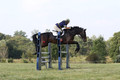 Liz Millikin on Malabar 54, OP-B