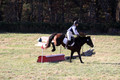 Erica Jones on Bingo, Advanced Green Horse Trials Senior A