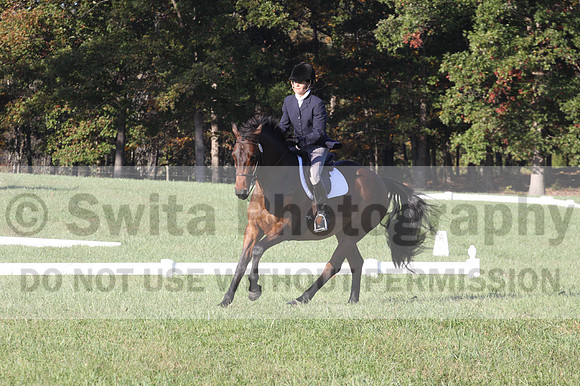 Kip Holloway on Dora Cymbeline, Novice Horse Trials Senior A