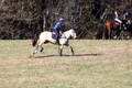 Brynn Katany on Cady O'Daly Artisan, Beginner Novice Horse Trials Junior A