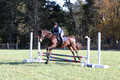 Carol Brickey on Throwing Stones, Advanced Green Horse Trials B