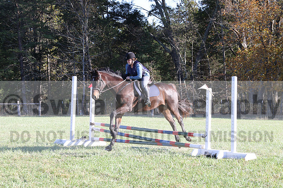 Carol Brickey on Throwing Stones, Advanced Green Horse Trials B