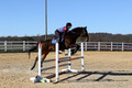 Shannon Daily on Pitt Maneuver, Novice Horse Trials Senior