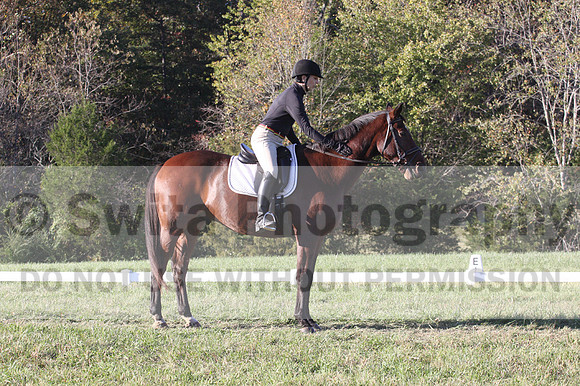 Kelly Linn on Hanover, Green Horse Trials