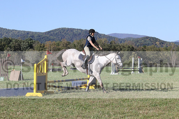 Carolyn Rutledge on Izzy, Advanced Green Horse Trials A