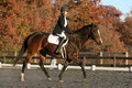 Thea Miller on Something Glamorous, Dressage Only: Training Level, Test 3
