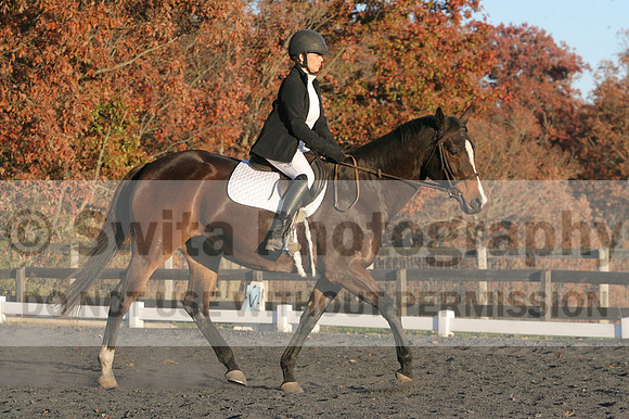 Thea Miller on Something Glamorous, Dressage Only: Training Level, Test 3
