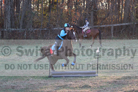Alison O'Connor on Harwich Maximus, Green Horse Trials Senior