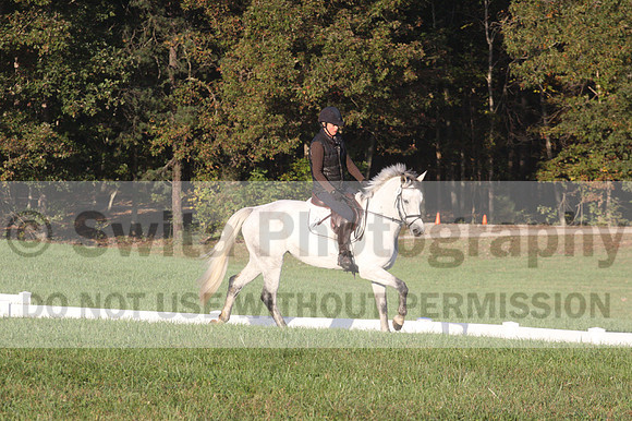 Liz Riley on Ice Storm, Training Horse Trials
