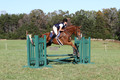 Alexandria Morocom on Da Lime and Da Coconut, Advanced Green Horse Trials B