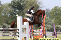 Alex Reed on On Broadway, JYOP