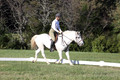 Jeanne Jeffer on Snowball's Chance, Green Horse Trials