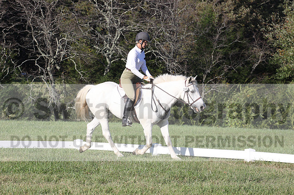 Jeanne Jeffer on Snowball's Chance, Green Horse Trials