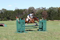 Elizabeth Davis on Freedom's Stormy Night, Beginner Novice Horse Trials Junior B
