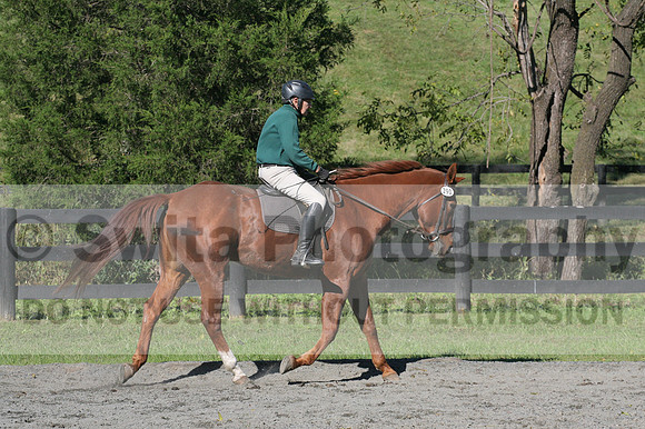 John Weir on Admiral, Dressage Only: Training Level, Test 2/3