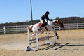 Corrine Woods on Chief's Star Dreammaker, Beginner Novice Horse Trials Senior B