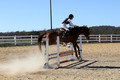 Ingrid Dunn on Ruby Redbird, Beginner Novice Horse Trials Senior C