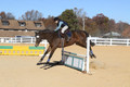Wyatt Wilkerson on Troublemaker, Beginner Novice Horse Trials Junior A