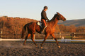 Chris Nicholson on Port Of Call, Dressage Only: First Level, Test 1