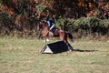 Francesca Toms on Top Secret, Novice Horse Trials Junior