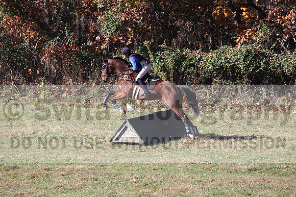 Francesca Toms on Top Secret, Novice Horse Trials Junior