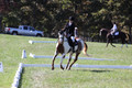 Holly Holbrook on Two Bet Chloe, Beginner Novice Horse Trials Junior A