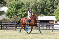 Jennifer Treacy on Happy Harry, BNR