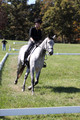 Michele Gnozzio on Dazzling, Beginner Novice Horse Trials Senior C