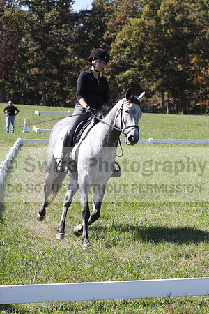 Michele Gnozzio on Dazzling, Beginner Novice Horse Trials Senior C