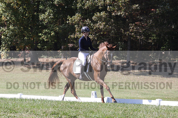 Charlotte Stillfried on Killian, Beginner Novice Horse Trials Junior B