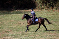 Shannon Daily on Pitt Maneuver, Novice Horse Trials Senior