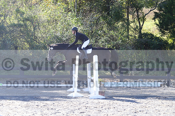 Wenzhao Zhang on High Roller, Beginner Novice Senior Horse Trials A