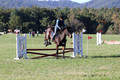 Carol Brickey on Throwing Stones, Advanced Green Horse Trials B