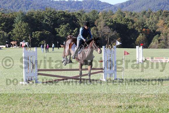 Carol Brickey on Throwing Stones, Advanced Green Horse Trials B