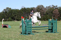 Violet Cross on Elpin Odin, Beginner Novice Horse Trials Junior B