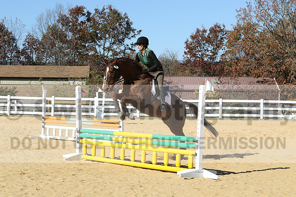 Amy Morris on Milo, Beginner Novice Horse Trials Senior C