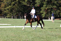 Allie Farley on Fiona, Novice Horse Trials Senior A