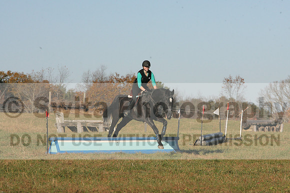 Alexis Owens on Shirefox Cadence, Advanced Green Horse Trials Junior A