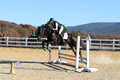 Dorothy Lower on The Wizard Of Oz, Advanced Green Horse Trials Junior A