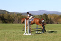 Alexandria Morocom on Da Lime and Da Coconut, Advanced Green Horse Trials B