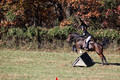 CJ Weldon on Talleyrand, Novice Horse Trials Senior