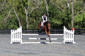 Mandolin Whitten on Thistle, Novice Horse Trials